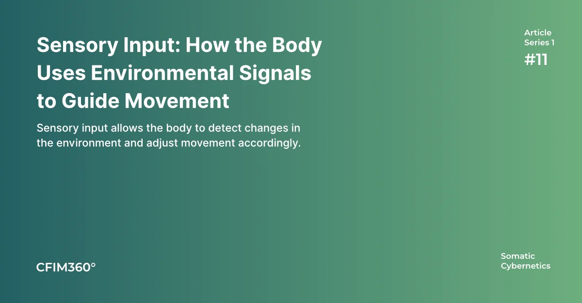 Article 11 cover image